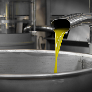Extra Virgin Olive Oil